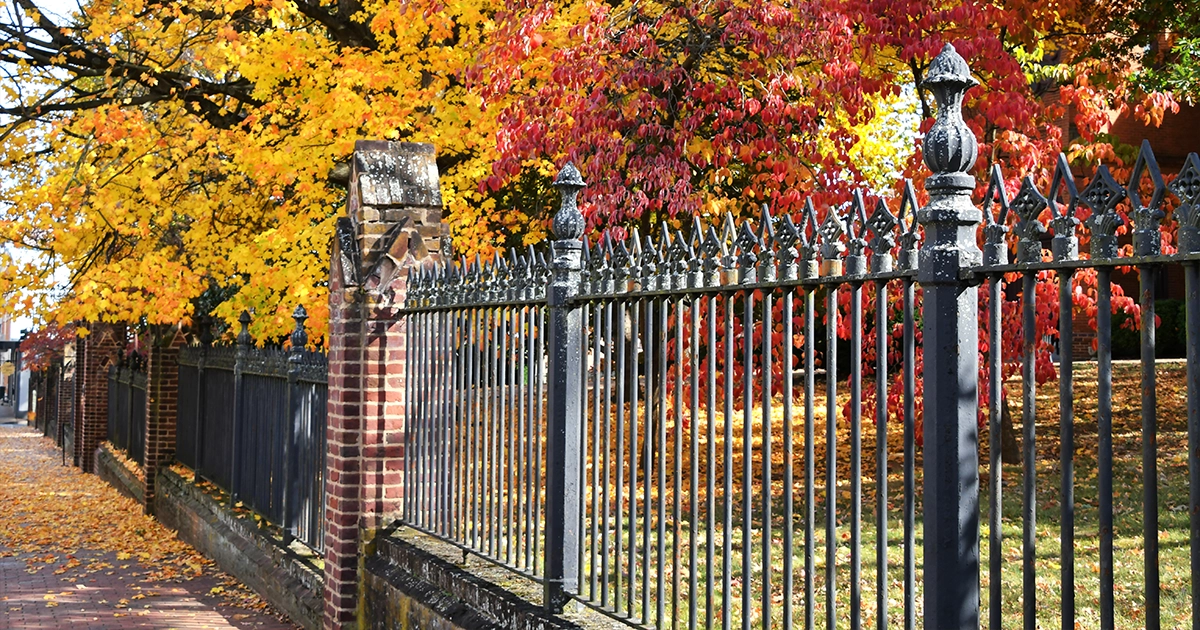 How long should a new fence last? Understanding what to expect in your new fence lifespan